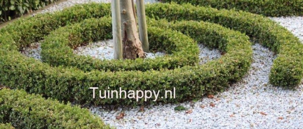 Tuinhappy.nl - buxus Tuinhappy.nl - buxus