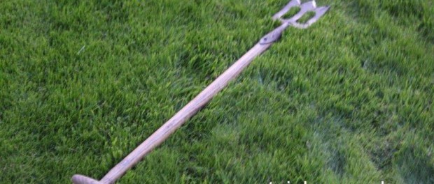 Tuinhappy.nl - spork Tuinhappy.nl - spork