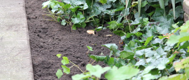 Tuinaarde aanvullen Tuinaarde aanvullen
