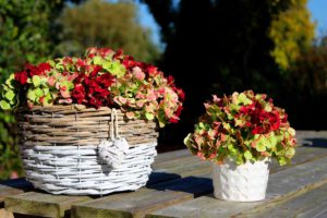 Hortensia bloemstukje