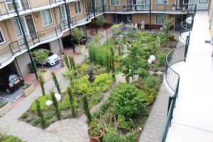 Binnentuin Rijpwetering