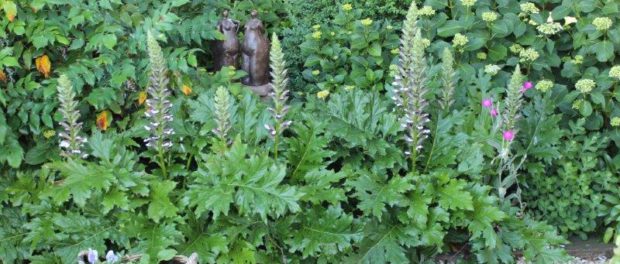 Kunst in de tuin