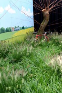 Joop's fiets in het Groene Hart