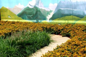Bergen en gele Rudbeckia in de Joop Zoetemelk tuin