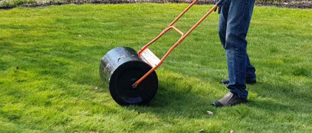 gras rollen