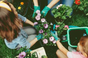 Tuinidee 2018