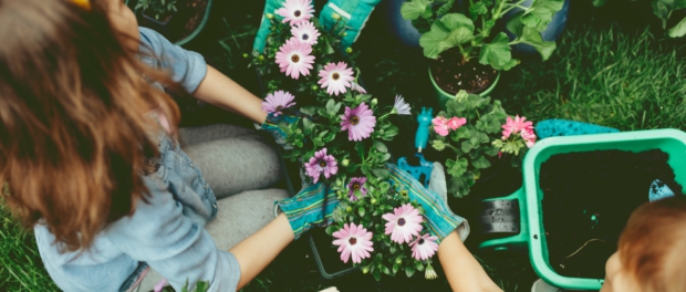 Tuinidee 2018 Tuinidee 2018