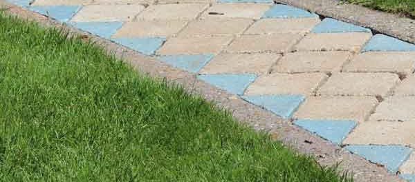 Watervriendelijke tuin Watervriendelijke tuin