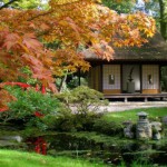 tuinevents Japanse Tuin - tuinevents