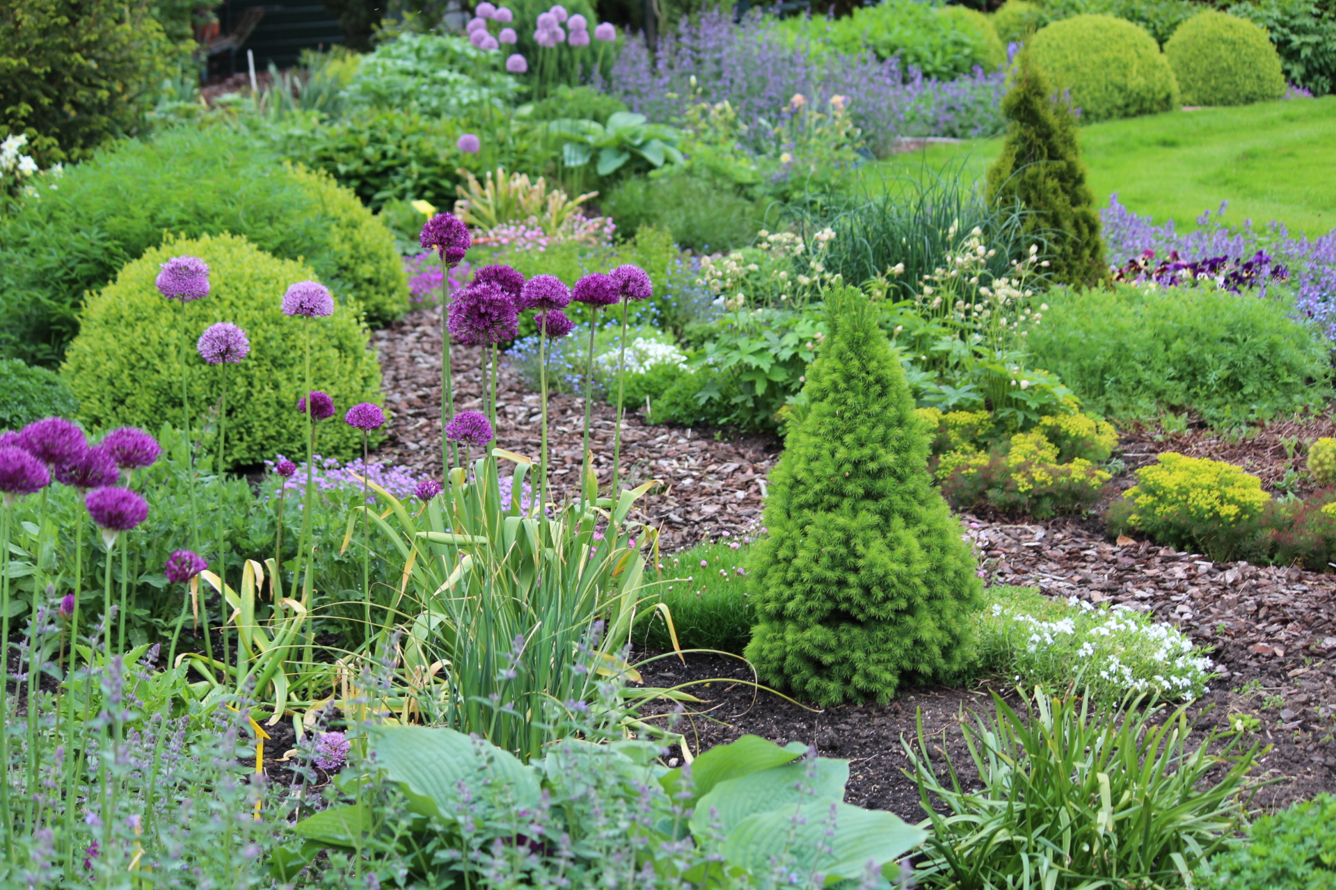 Onderhoudsvrije en toch groene tuin tuinblogger Tuinhappy