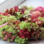 Tuinhappy.nl - hortensia krans maken