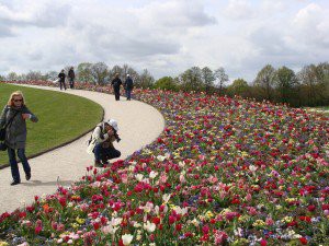 Floriade - Jacqueline van der Kloet - bloembollenmix