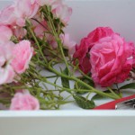 Tuinhappy.nl - afgeknipte rozen
