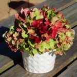 Hortensia bloemstukje