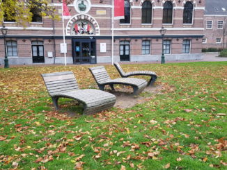 Bladeren in gras