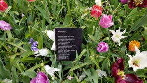 Bloembollen gemixt - Keukenhof (2)