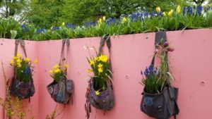Tuininspiratie - blauwe druifjes - gele narcissen - Keukenhof