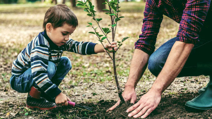 Tuinidee 2019 Tuinidee 2019