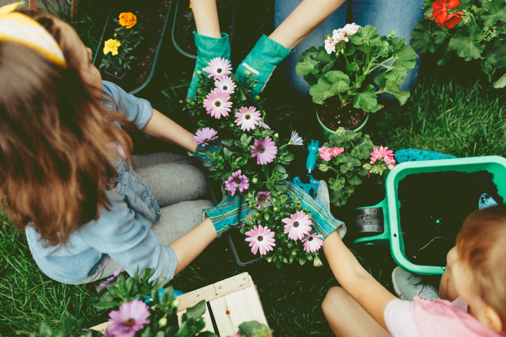 Tuinidee 2018