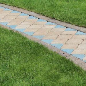Watervriendelijke tuin