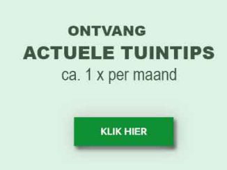 Actuele tuintips