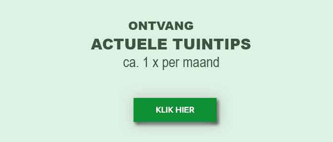 Actuele tuintips Actuele tuintips