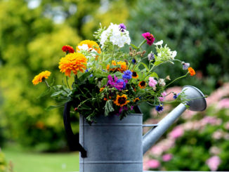 Bloemen uit eigen tuin