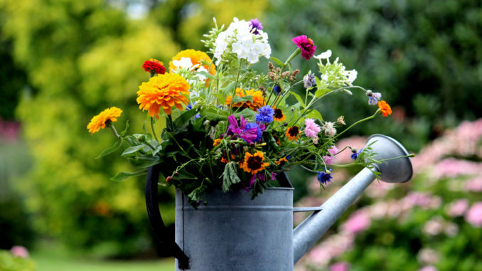 Bloemen uit eigen tuin Bloemen uit eigen tuin