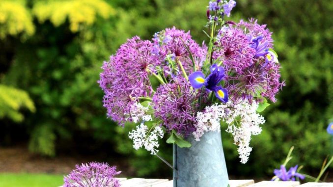 Plukboeket uit eigen tuin Plukboeket uit eigen tuin
