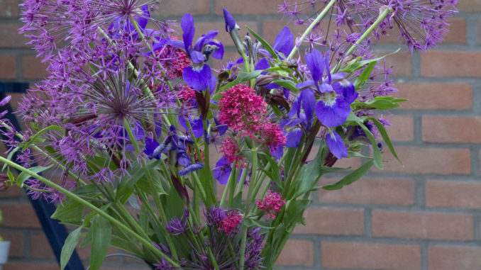 Plukboeket Tuinhappy Plukboeket Tuinhappy