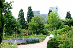 Botanische Tuinen Utrecht
