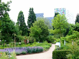 Botanische Tuinen Utrecht