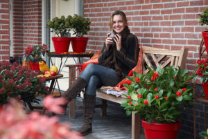 Voortuin