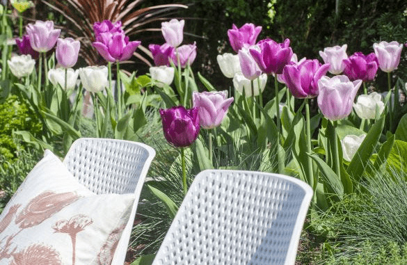 Bloembollen planten Bloembollen planten