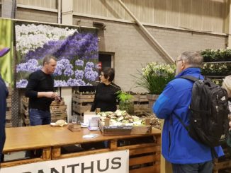 Tuinidee 2019
