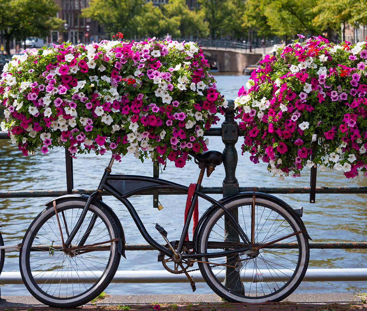 Versierde grachten van Amsterdam