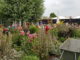 De Sfeerstal Nieuwveen tuin