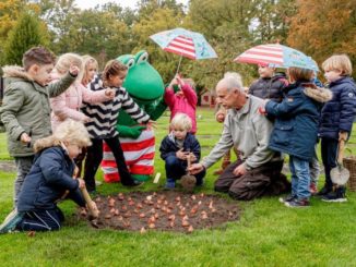 Tuinhappy.nl - Bloembollen planten Keukenhof