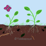 Tuinhappy.nl - Bodemleven - bodemverbetering