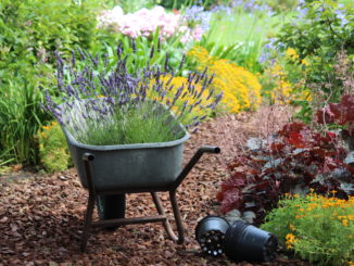 Tuinhappy.nl - nieuwe aanplant