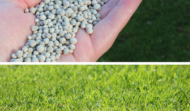 kalk op gras strooien kalk op gras strooien
