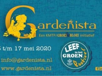 Gardenista 2020