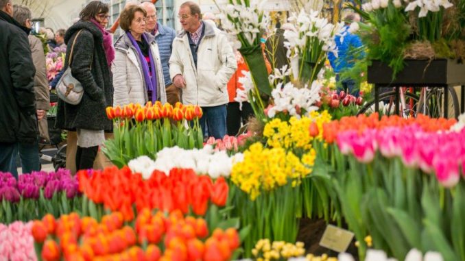 Lentetuin Breezand Lentetuin Breezand