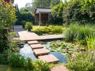 Voorbeeld tuinontwerp met water