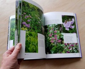 Handboek Bloeiende Tuin van Claus Dalby