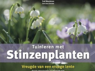 Tuinhappy - Stinzenplanten