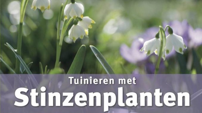 Tuinhappy - Stinzenplanten Tuinhappy - Stinzenplanten