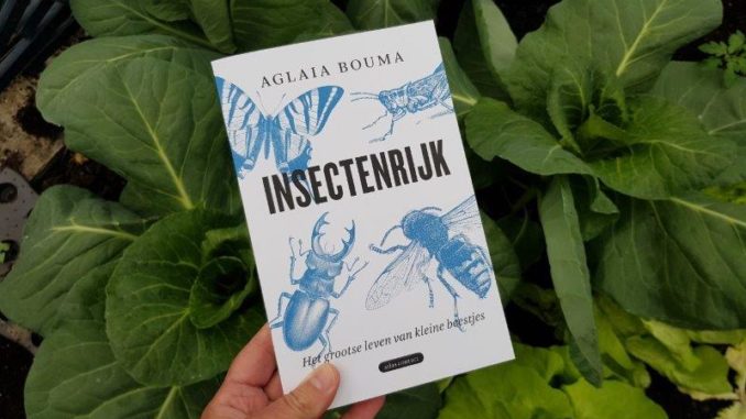 Insectenrijk van Aglaia Bouma (4) Insectenrijk van Aglaia Bouma