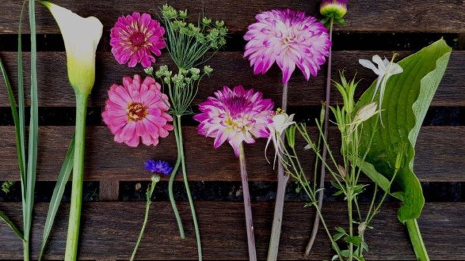 Plukboeket uit pluktuin Plukboeket uit pluktuin