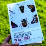 Geroezemoes in het gras van Dave Goulson